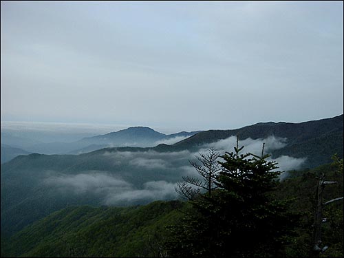 새벽녘의 지리산 